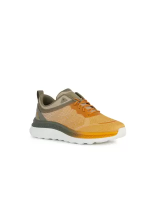 Sneaker Geox Spherica - Actif Yellow Sage | Tentazione Calzature