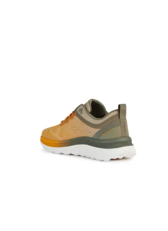 Sneaker Geox Spherica - Actif Yellow Sage | Tentazione Calzature