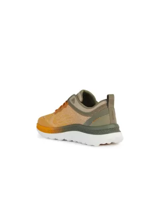 Sneaker Geox Spherica - Actif Yellow Sage | Tentazione Calzature