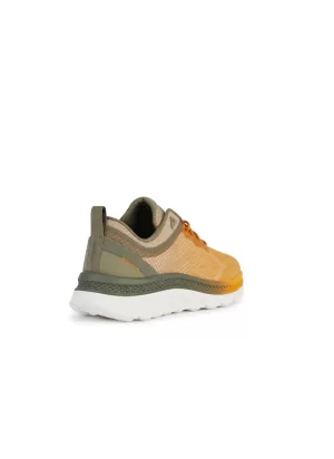Sneaker Geox Spherica - Actif Yellow Sage | Tentazione Calzature