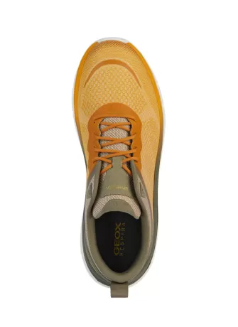 Sneaker Geox Spherica - Actif Yellow Sage | Tentazione Calzature